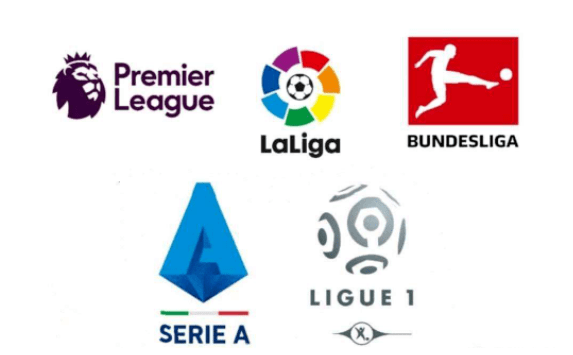 的协作精神 的协作精神