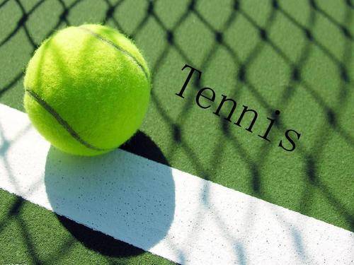 了额外的动 了额外的动